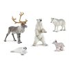 5pc Animal Collection - Arctic*