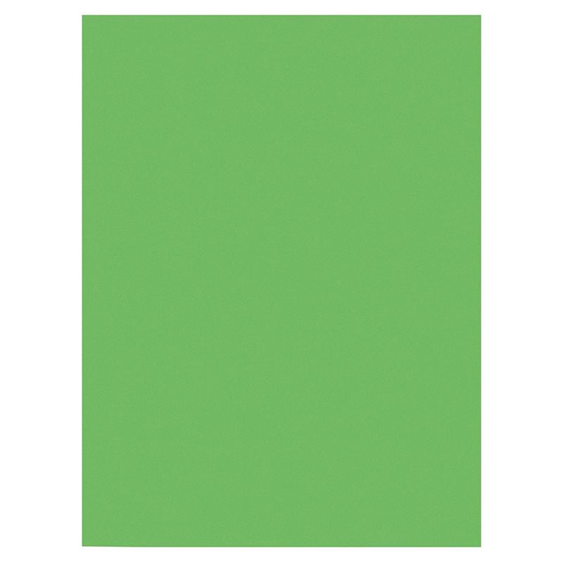 Papier de construction - 9" x 12" - Vert vif - Caisse-50