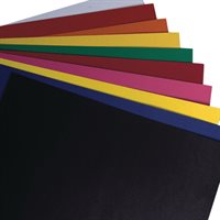 Conseil des chemins de fer- 4 plis assortis