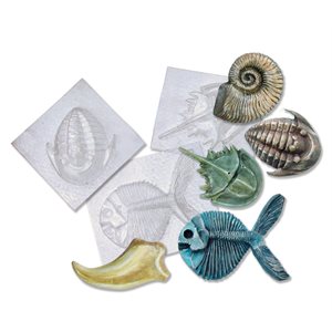 Fossil Molds - Pack of 5