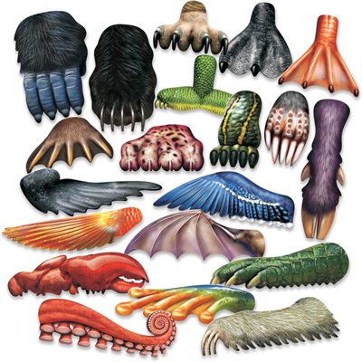 Grattoirs à peinture animale