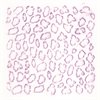 Animal Skins Rubbing Plates - Pack of 6