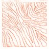 Animal Skins Rubbing Plates - Pack of 6