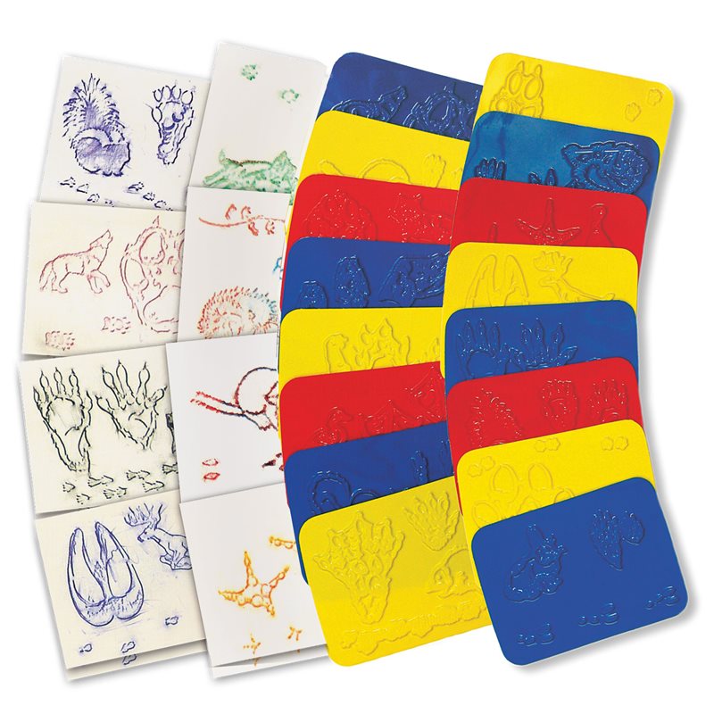 Plaques de frottement pour traces d'animaux - Lot de 16