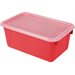Small Cubby Bin with Clear Lid-Red