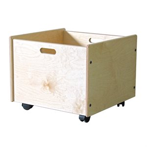 Block Storage Box: 20"
