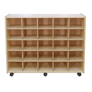 25 Small Cubby Storage Unit