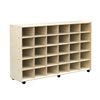 30 Small Cubby Storage Unit