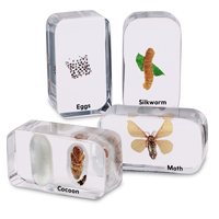Life Cycle Specimen Set