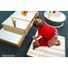 Miroir de sol Step Infant