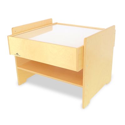 Manipulative and Light Tables