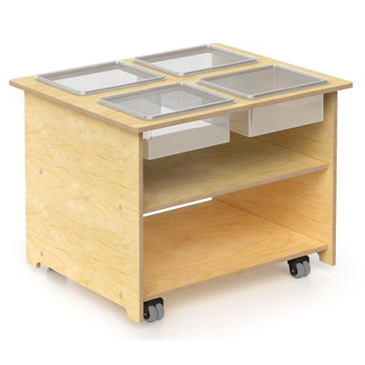 Mobile Sensory Table With Trays & Lids