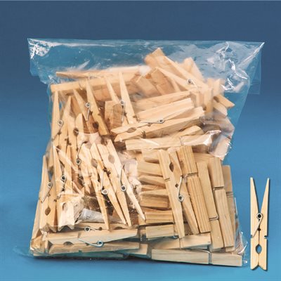 Spring Clothespins- Pack of 100