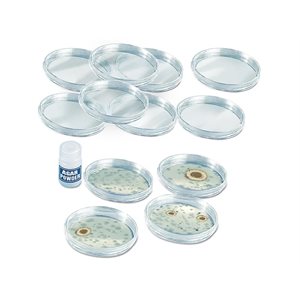 Growing Bacteria Classroom Kit