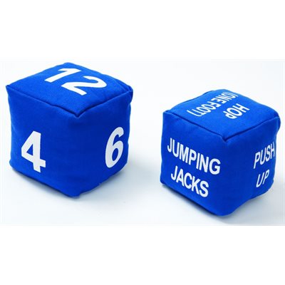 Fitness Cubes - Pair