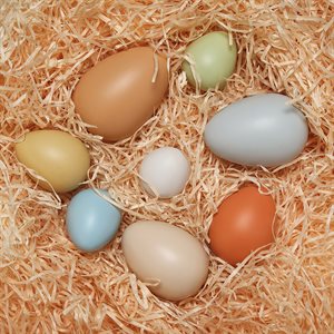 Size Sorting Eggs - Set of 8