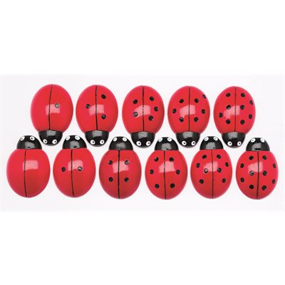 Coccinelles comptant des pierres