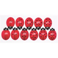 Ladybugs Counting Stones