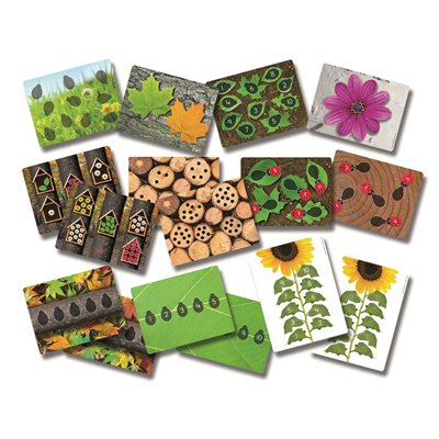 Cartes des premiers chiffres de la coccinelle