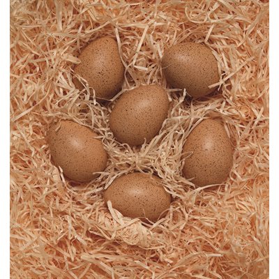 Sensory Sound Eggs - Set of 6