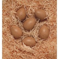 Sensory Sound Eggs - Set of 6