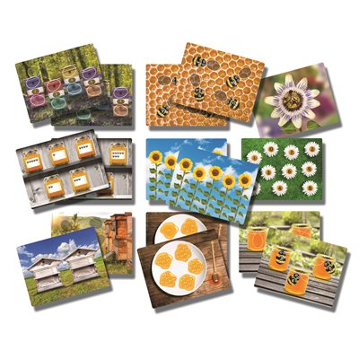 Cartes d'activité de nombre d'abeilles de miel