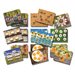 Cartes d'activité de nombre d'abeilles de miel