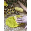 Allons-y – Insectes de jardin
