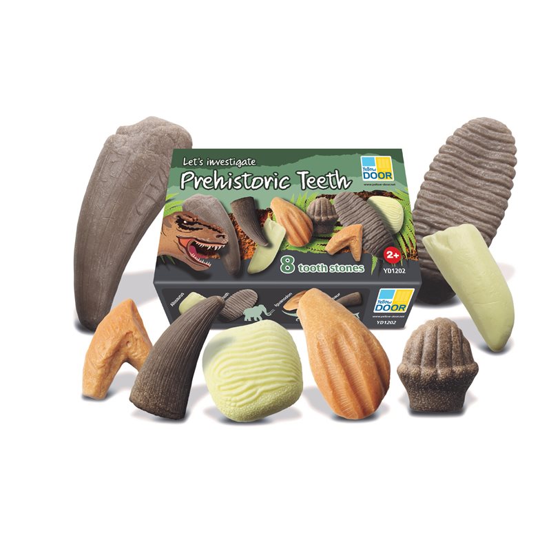 Enquêtons – Dents préhistoriques Enquêtons – Dents préhistoriques