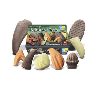 Let’s Investigate – Prehistoric Teeth