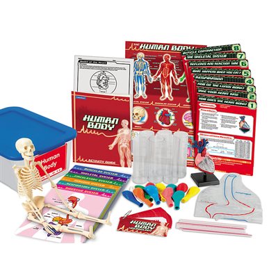 Human Body Activity Tub - Gr. 4-6 Human Body Activity Tub - Gr. 4-6