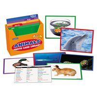 Animals Photo Card Library