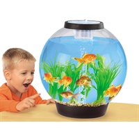 Aquarium de classe Easy-View