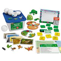 Life Cycles Theme Box