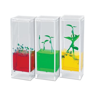 Laboratoire de plantes See It Grow