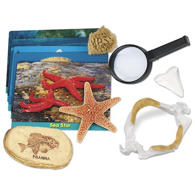 Sea Life Specimen Centre