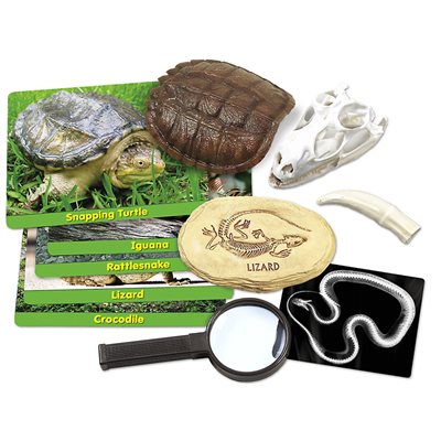 Reptiles Specimen Centre
