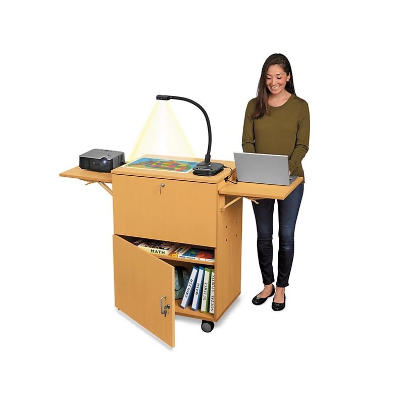 Flex-Space Store-It-All Tour multimédia verrouillable mobile - Érable moderne