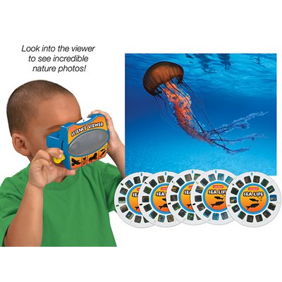 Visualiseur de sciences de la vie marine