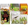 Favourite Picture Book Read-Alongs - Set 2