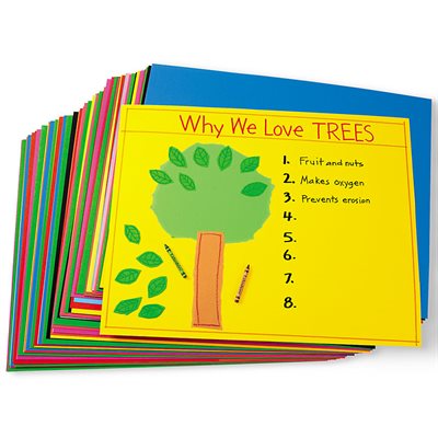 Colour Poster Board -100 Sheets