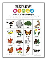 2020 Nature Bingo Thumnail